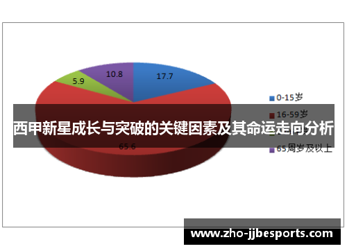 西甲新星成长与突破的关键因素及其命运走向分析