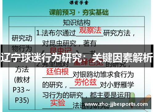 辽宁球迷行为研究：关键因素解析